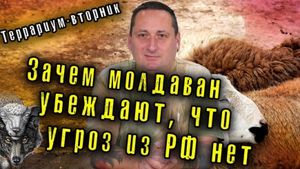 Позиция оппозиции – как чистосердечное признание