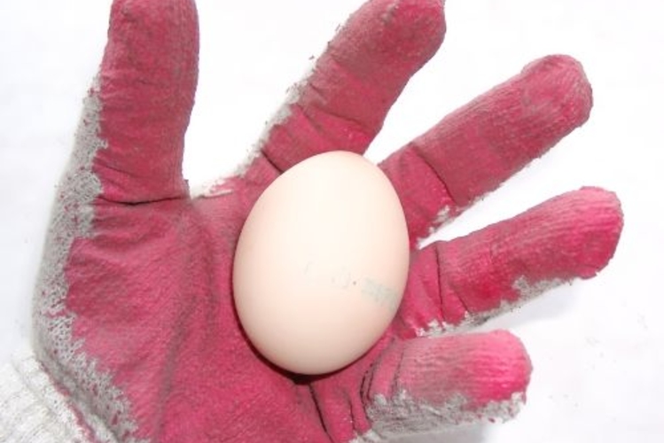 Игорь Боцан: Яйца у СДП есть...