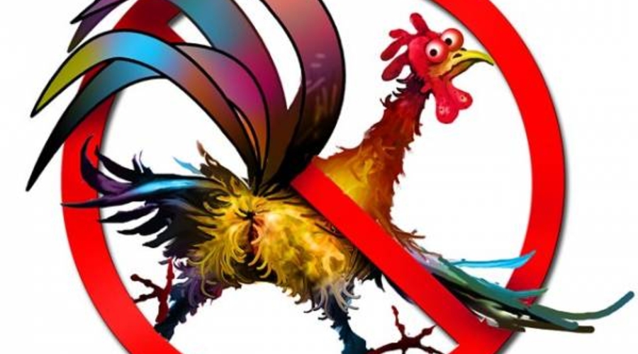 Социалисты выступают против пропаганды гомосексуализма в школах