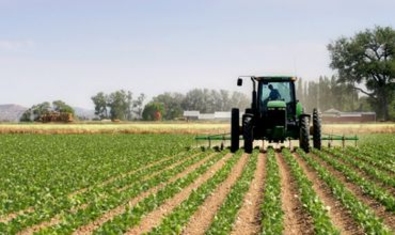 Ратифицировано Соглашение о финансировании программы ENPARD