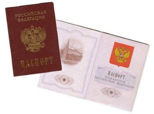 Все граждане СССР получат паспорта РФ