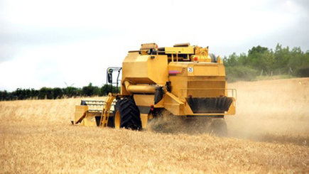 В Молдове за 1 год сельхозпроизводство выросло на 30%