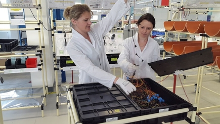 Молдова вошла в десятку стран-лидеров по уровню создания рабочих мест