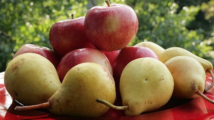 Россия ужесточает правила импорта яблок и груш с сертификатами происхождения из Республики Молдова