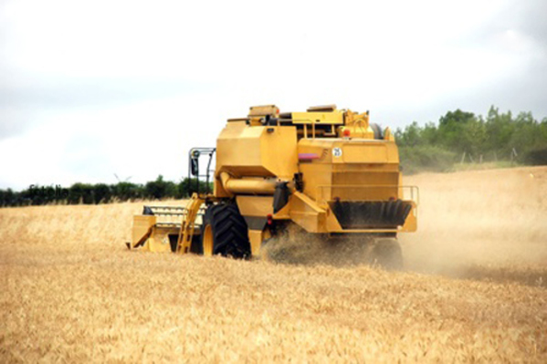 В Молдове за 1 год сельхозпроизводство выросло на 30%