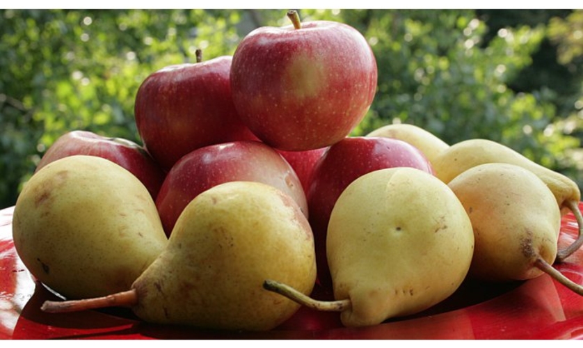 Россия ужесточает правила импорта яблок и груш с сертификатами происхождения из Республики Молдова