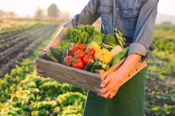 В Молдове запущена платформа по продаже органических продуктов