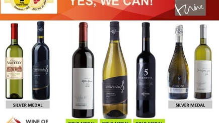 Молдавские вина высоко оценили в Южной Корее