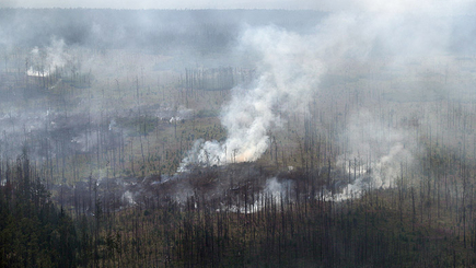 В России горят уже 4,5 млн гектаров леса, тушат лишь 6%, – Greenpeace