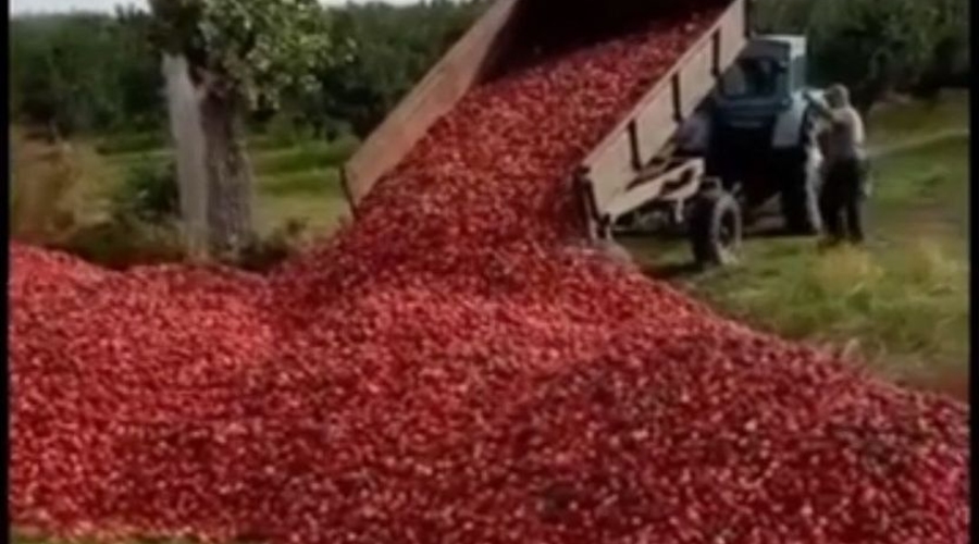 Как Чебан подсуетился и рассмешил Соцсети