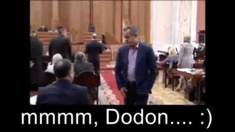 Мужественный Додон