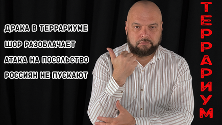Террариум – Пророссийские политики Молдовы воюют между собой за право быть «любимой женой» путина