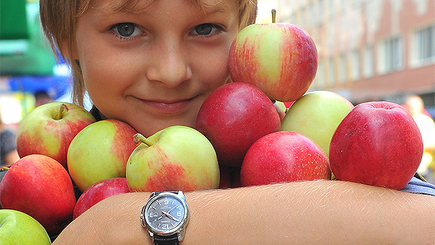 В прошлом месяце экспортировано более 20 тыс. т молдавских яблок