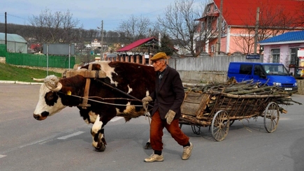 Пенсионный возраст не снизят. На популизм социалистов нет денег