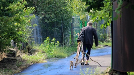 Выжить можно только вместе!