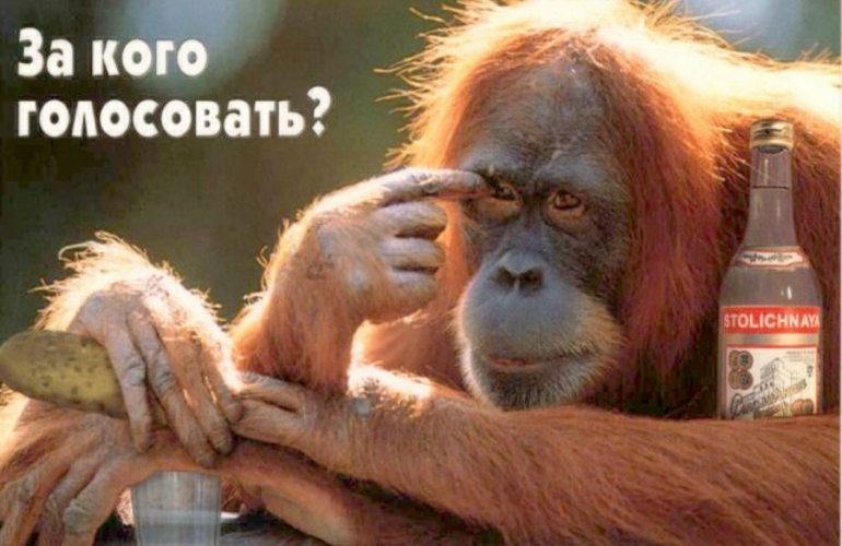 За кого голосовали  избиратели?