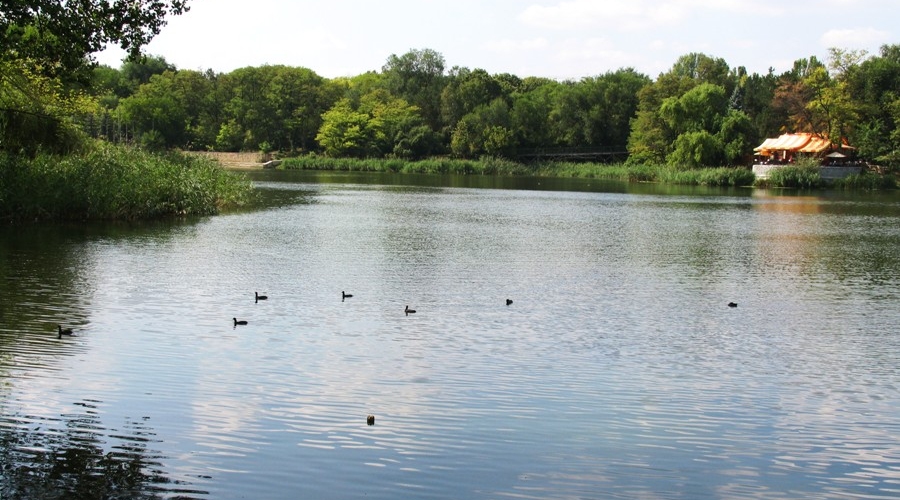 В 4 столичных озёрах найдены опасные бактерии