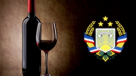 Виноделы из Гагаузии могут получить инвестиционные кредиты