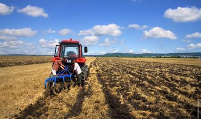 Молодые фермеры из Молдовы получат гранты на открытие бизнеса