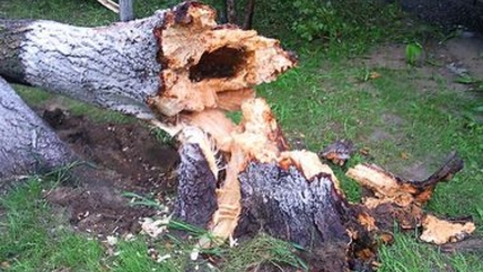 Ночью на Донецк обрушился ураган