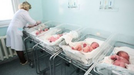 В первый день 2015 года на свет появилось 77 малышей; Первой стала девочка