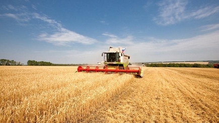 Ожидания по сбору урожая в Гагаузии не оправдались