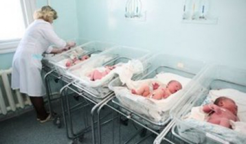 В первый день 2015 года на свет появилось 77 малышей; Первой стала девочка