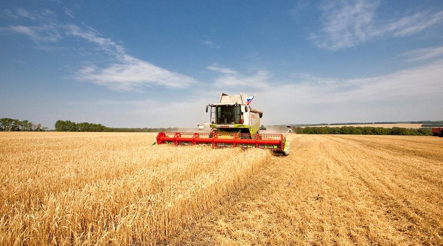 Ожидания по сбору урожая в Гагаузии не оправдались