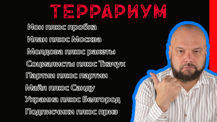 Террариум – Бой политических пауков в банке