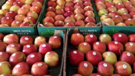 Все компенсации за ущерб, нанесенный российским эмбарго будут выплачены к концу марта