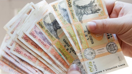 Первые шаги власти навстречу зиме