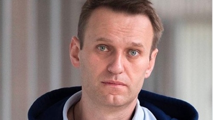 Бой между курочкой и принципами