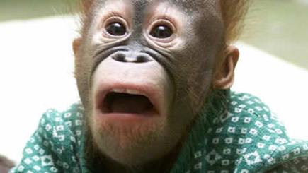 Уроки для Молдовы. Обучение азам капиталистической экономики