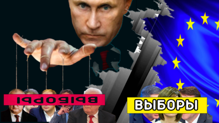 Выборы – деление политических микроорганизмов