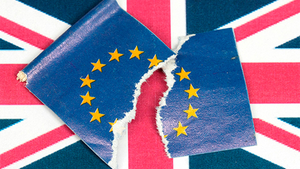 Большая часть британцев желает выхода из ЕC