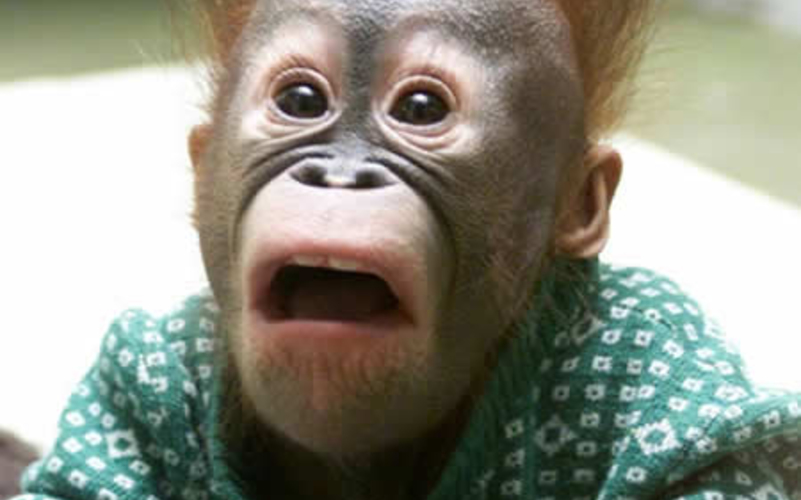 Уроки для Молдовы. Обучение азам капиталистической экономики