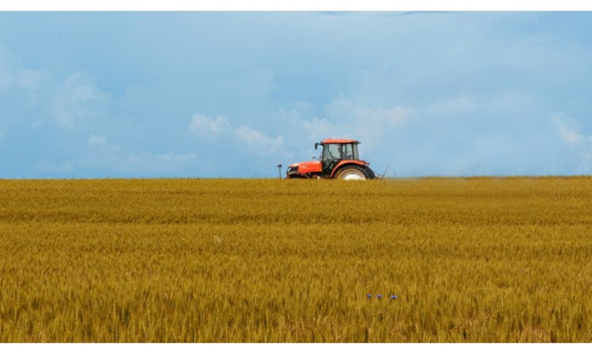 До 31 октября молдавские фермеры могут подавать заявки на получение субсидий