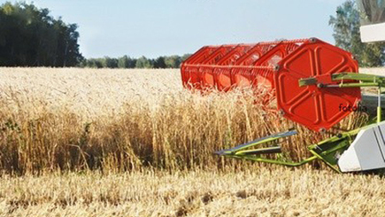 В Молдове цены на сельхозпродукцию сократились на 15%