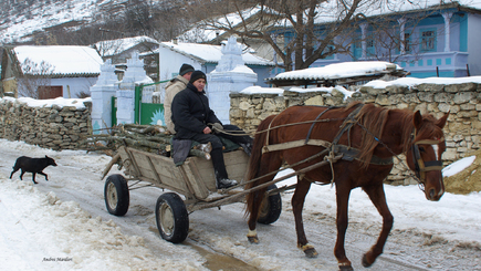 Малоимущие получат помощь от ЕС