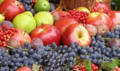 Румыния заинтересована в молдавской аграрной продукции