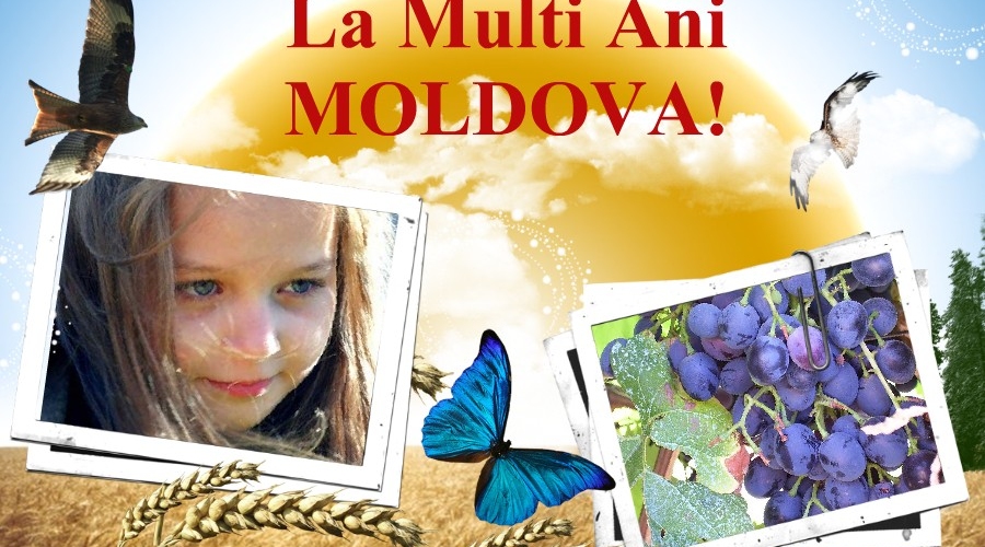 Над Кишиневом и над всей страной  должно развиваться только одно знамя – молдавское