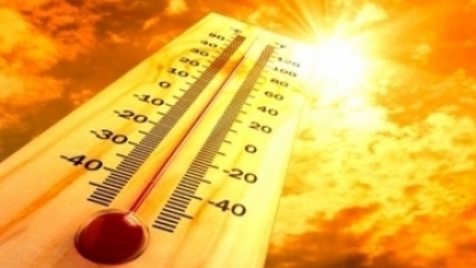 Объявлен желтый код опасности из-за жары и загрязненного воздуха