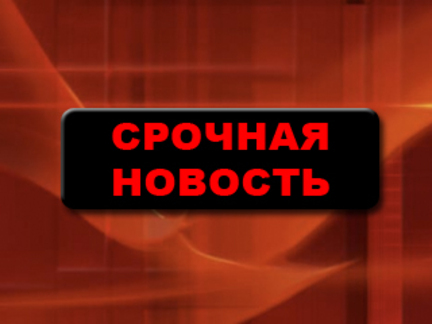 Министру обороны грозит отставка