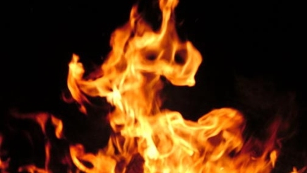 Уровень преступности в Молдове падает, а преступники уже сжигают свои жертвы…