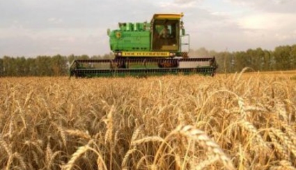 Правительство Японии представит Молдове грант на развитие сельского хозяйства