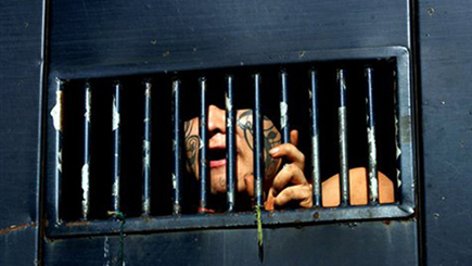 Министр юстиции Олег Ефрим: Амнистия…  Not to be…