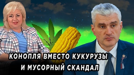 ЛОМы - Конопля вместо кукурузы и мусорный скандал