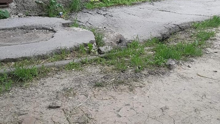 Анна Харламенко продолжает 