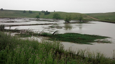 Ливневые дожди нанесли ущерб стране
