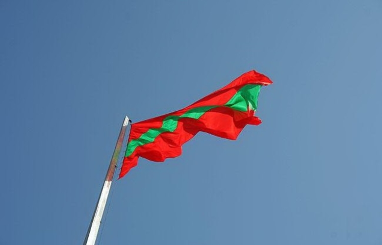 Проект изменений и дополнений в так называемую конституцию Приднестровья будет отправлен на экспертизу в российскую Госдуму